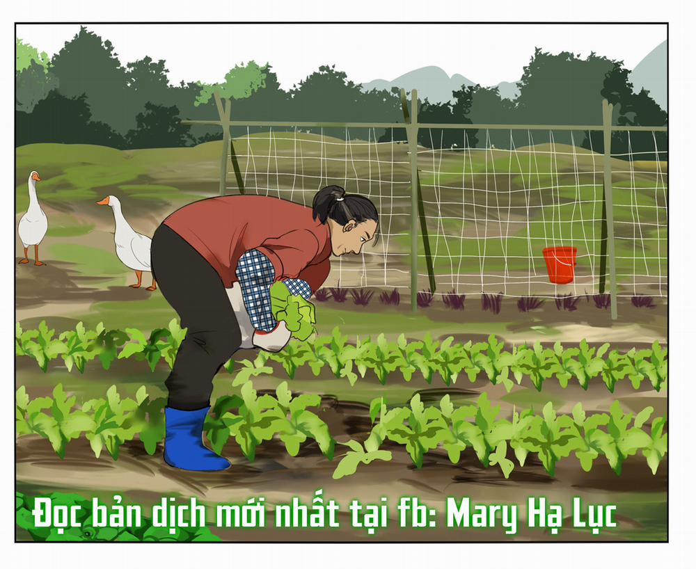 Hài Đam Mỹ 11 trang 1