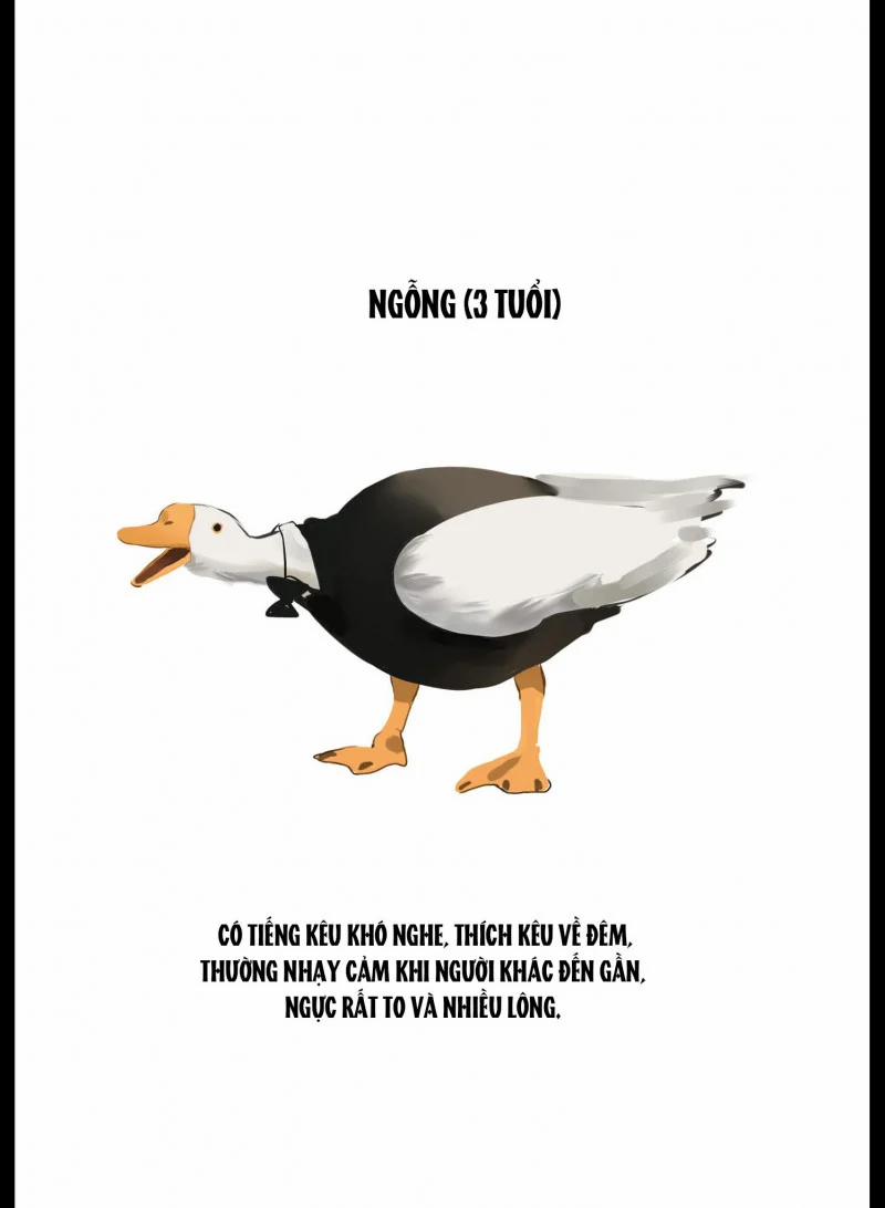 Hài Đam Mỹ 14 trang 5