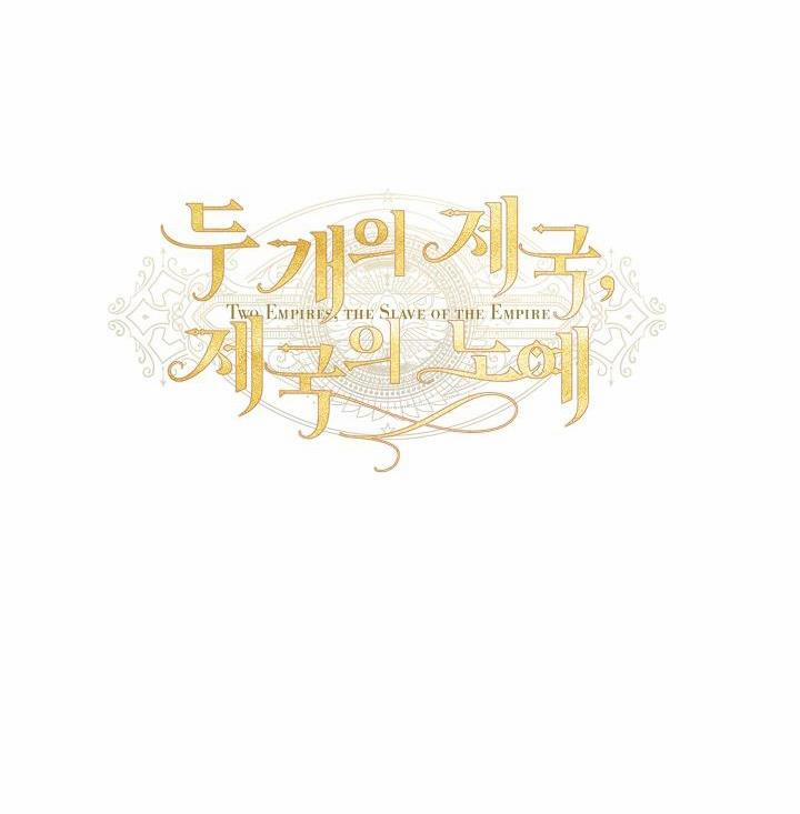 HAI ĐẾ QUỐC, NÔ LỆ CỦA ĐẾ QUỐC 25 trang 13