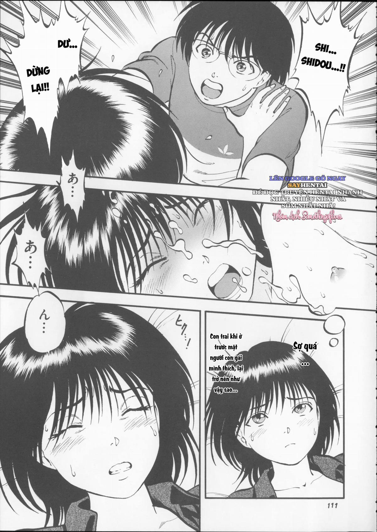 Hái Hạt Dẻ 5 trang 14