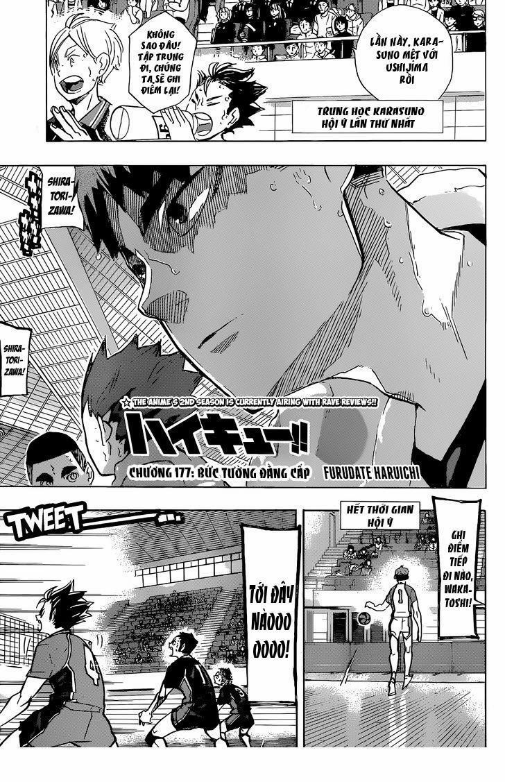Haikyuu 177 trang 0