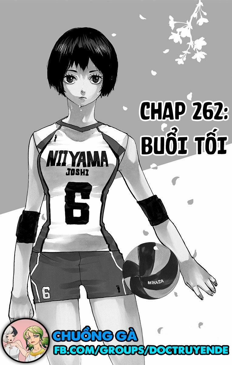 Haikyuu 246 trang 0