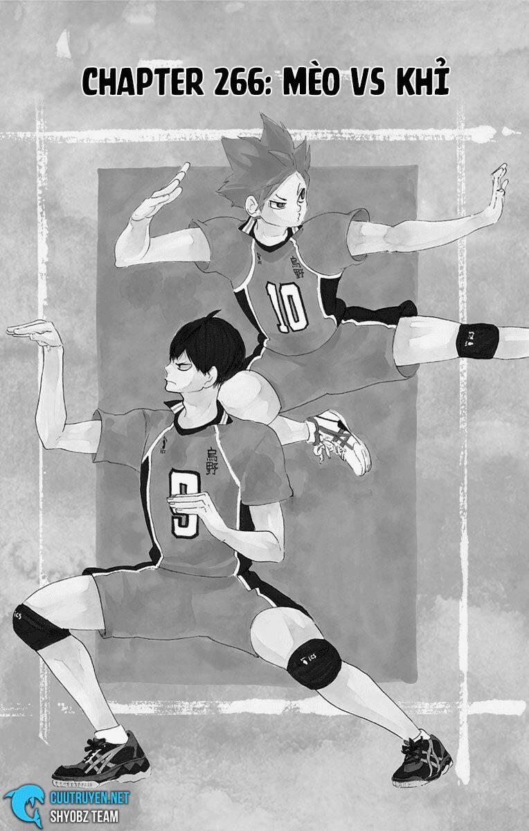 Haikyuu 266 trang 1