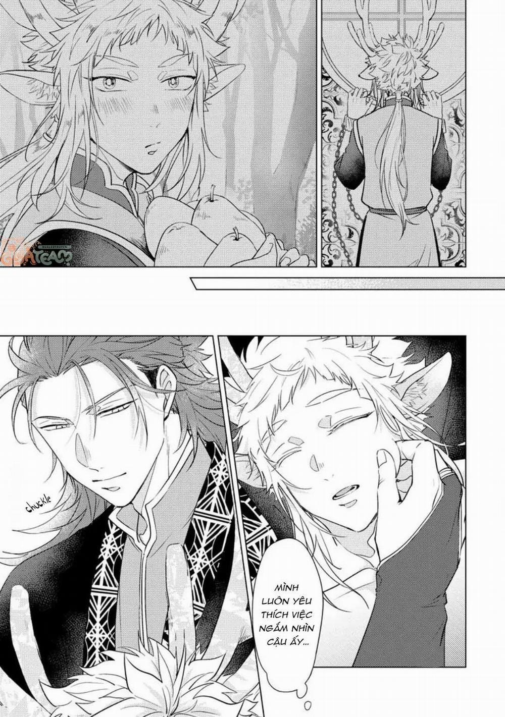 Hakuran no Kemono 4 trang 5