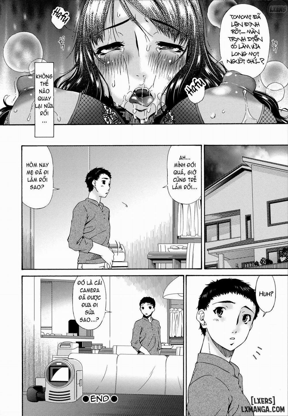 Hametorare 5 trang 20