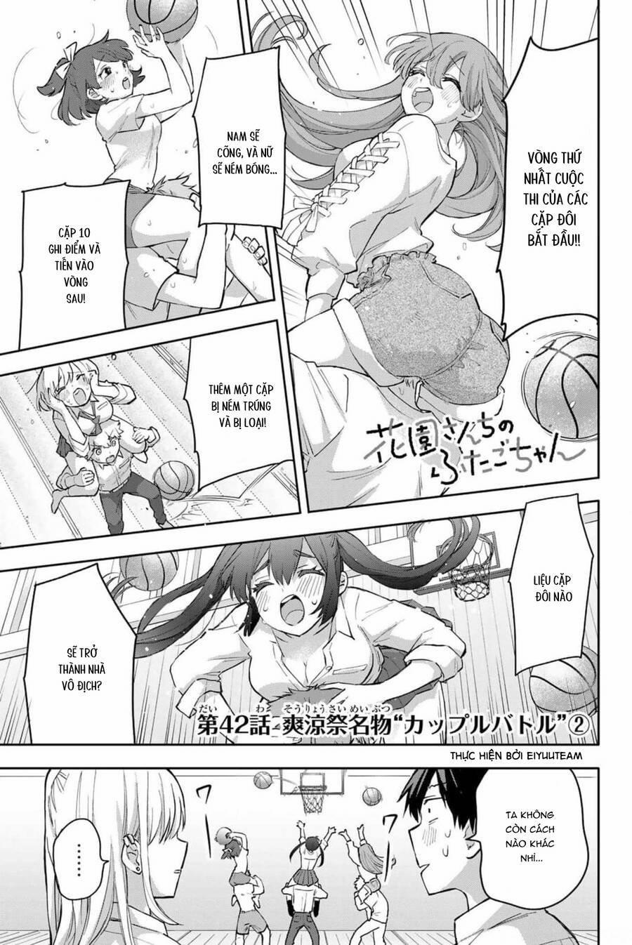 Hanazono Twins 42 trang 0