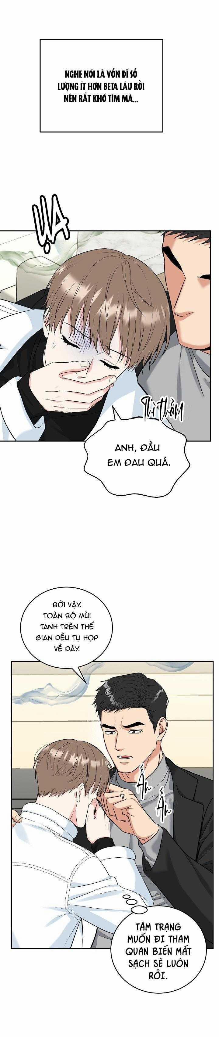 Hang Hổ 54 trang 15