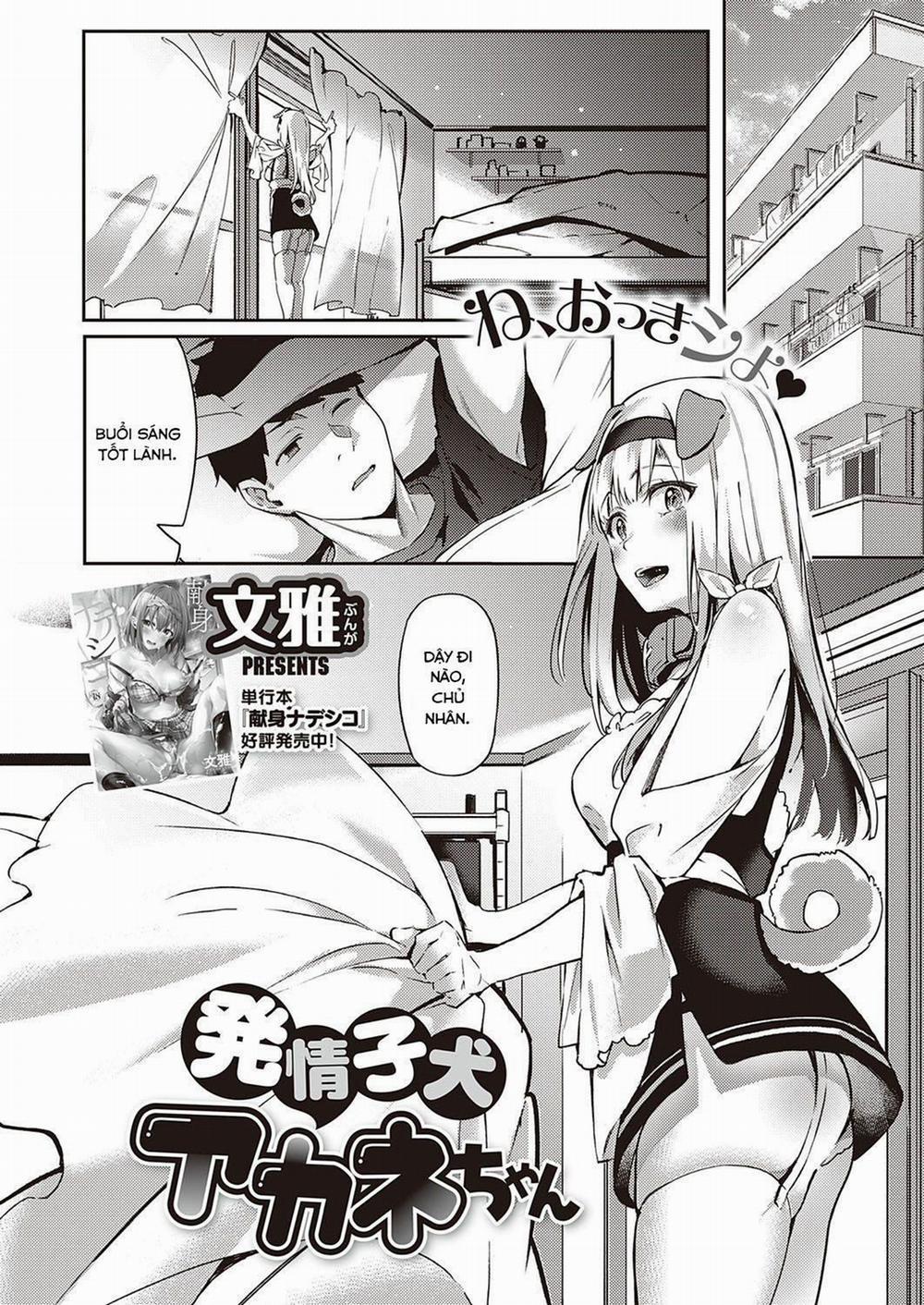 Hatsujou Koinu Akane-chan Oneshot trang 1