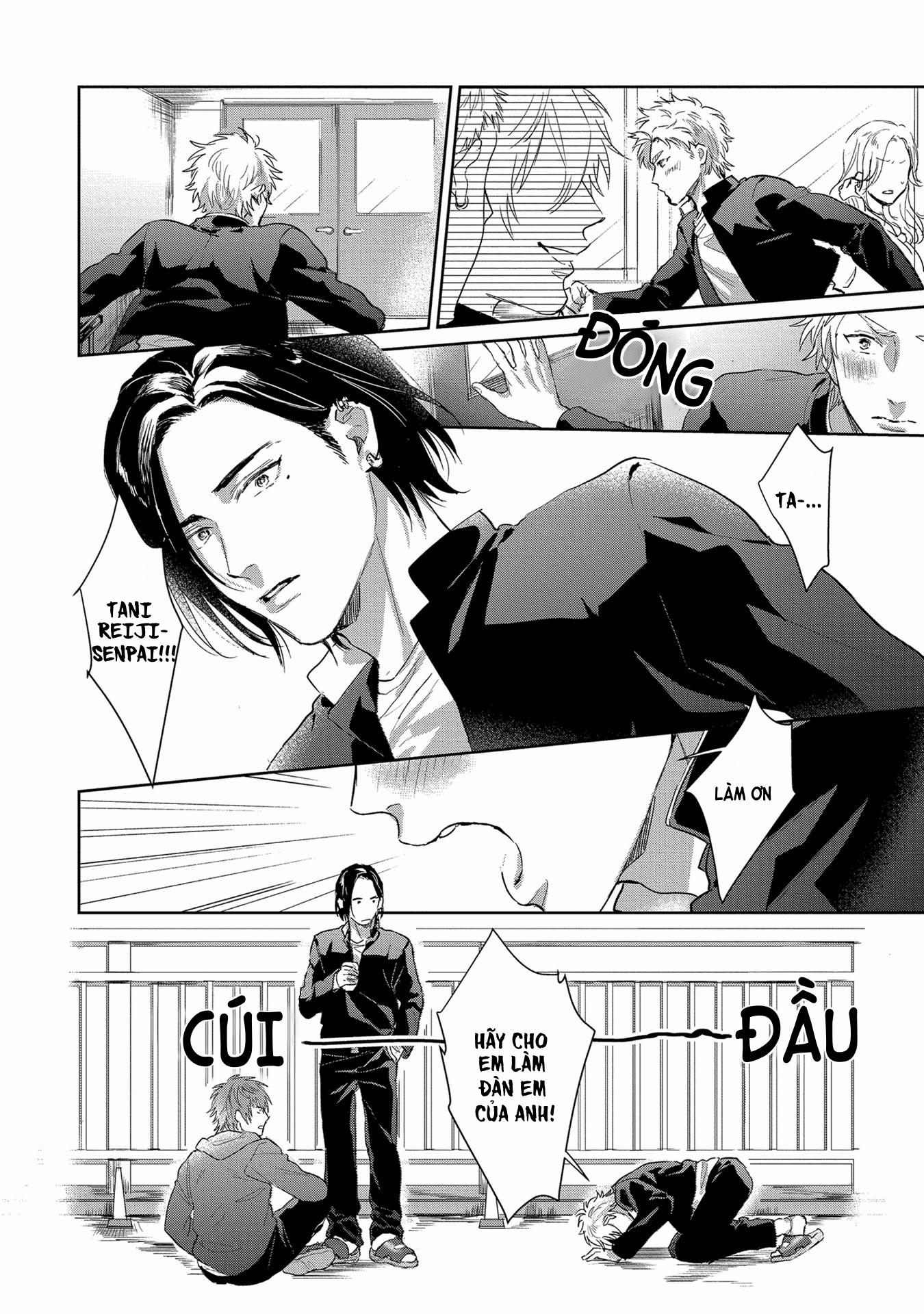 Hatsujou Relationship 1 trang 8