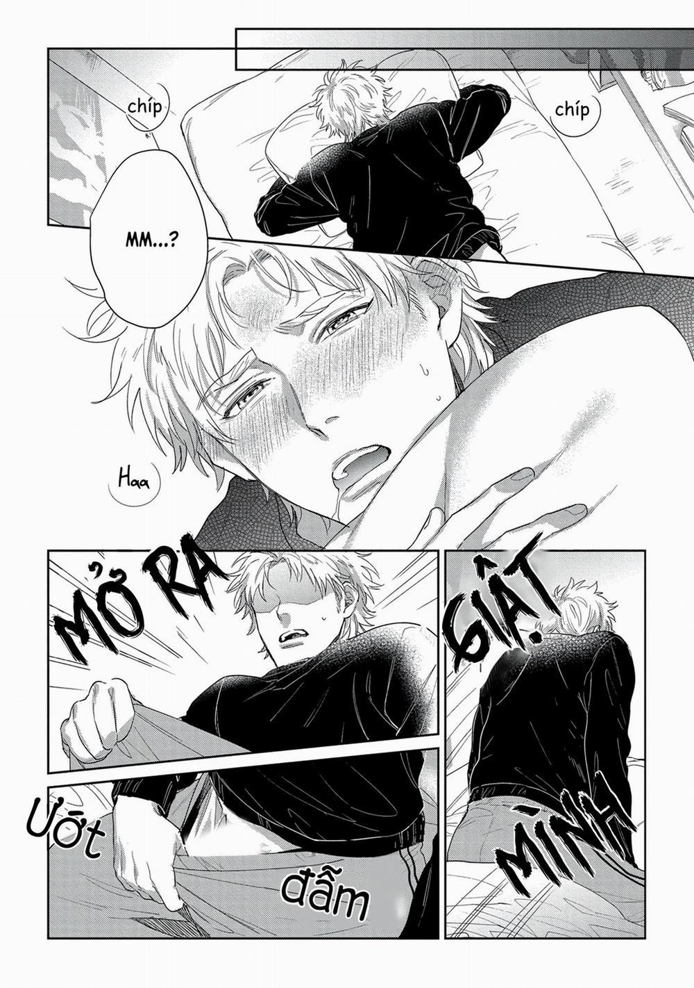 Hatsujou Relationship 2 trang 6