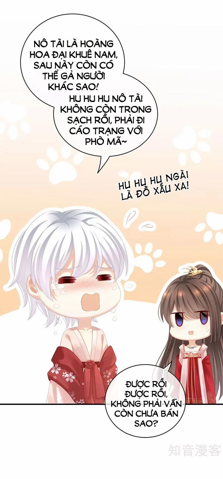 Hậu Cung Của Nữ Đế 116 trang 0