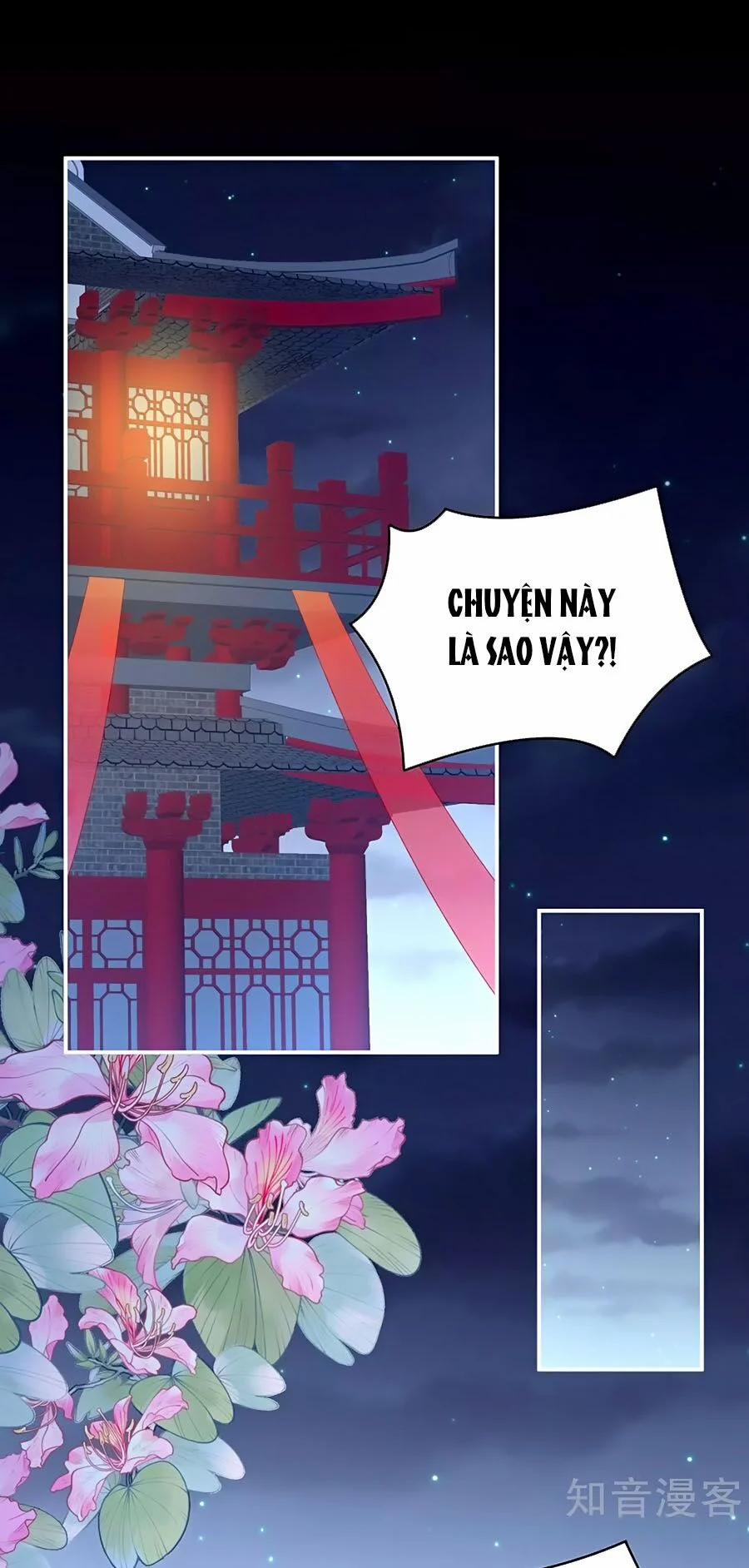 Hậu Cung Của Nữ Đế 227 trang 0