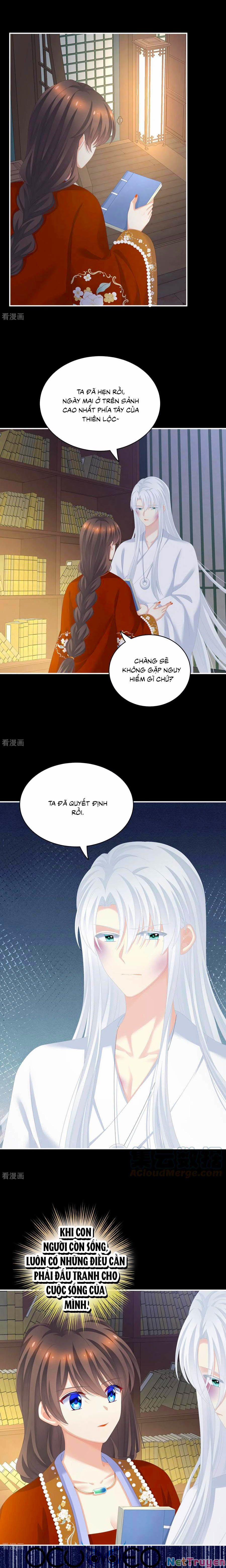 Hậu Cung Của Nữ Đế 252 trang 0