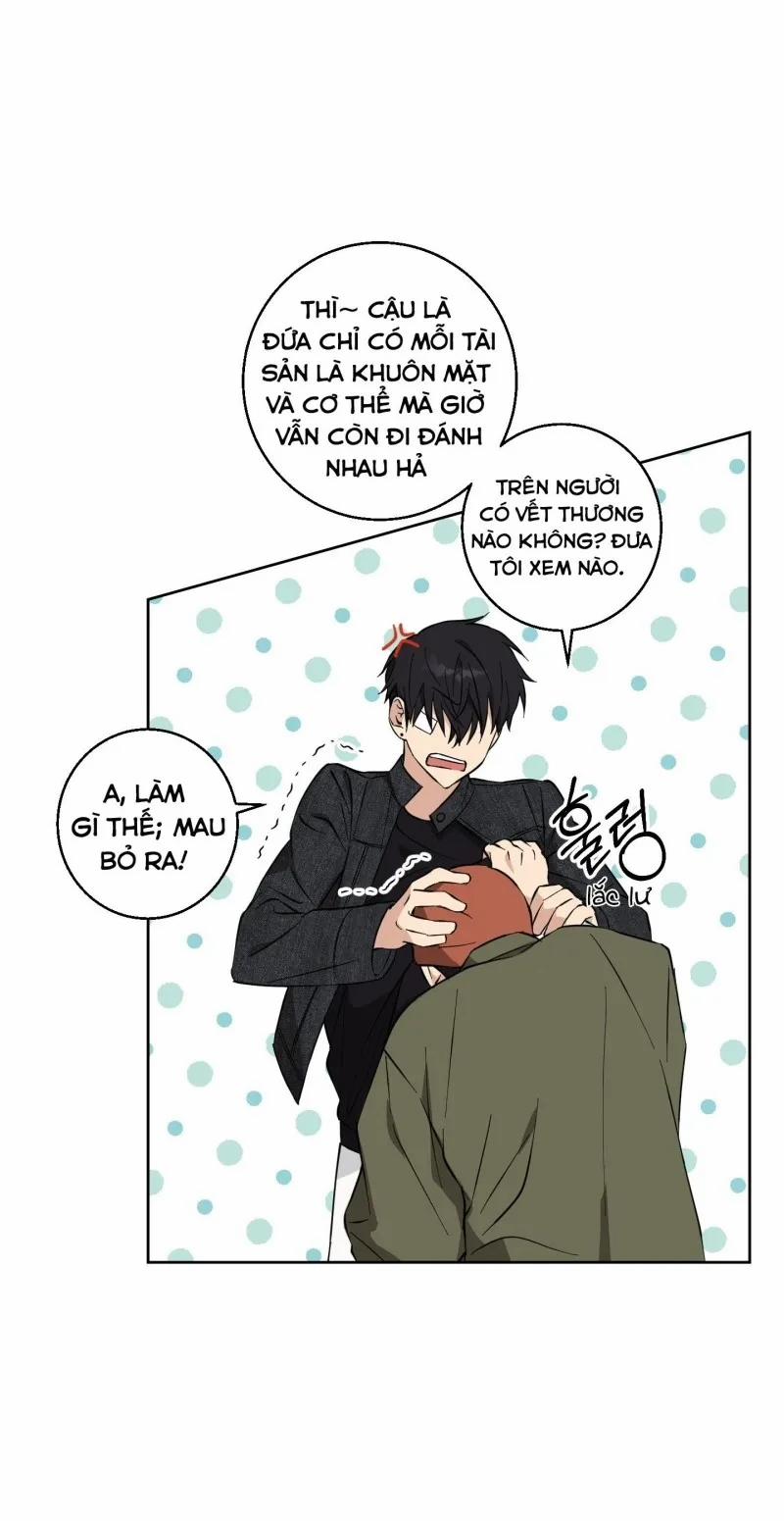 Hãy Bảo Vệ Tình Yêu Thuần Khiết! 8 trang 4