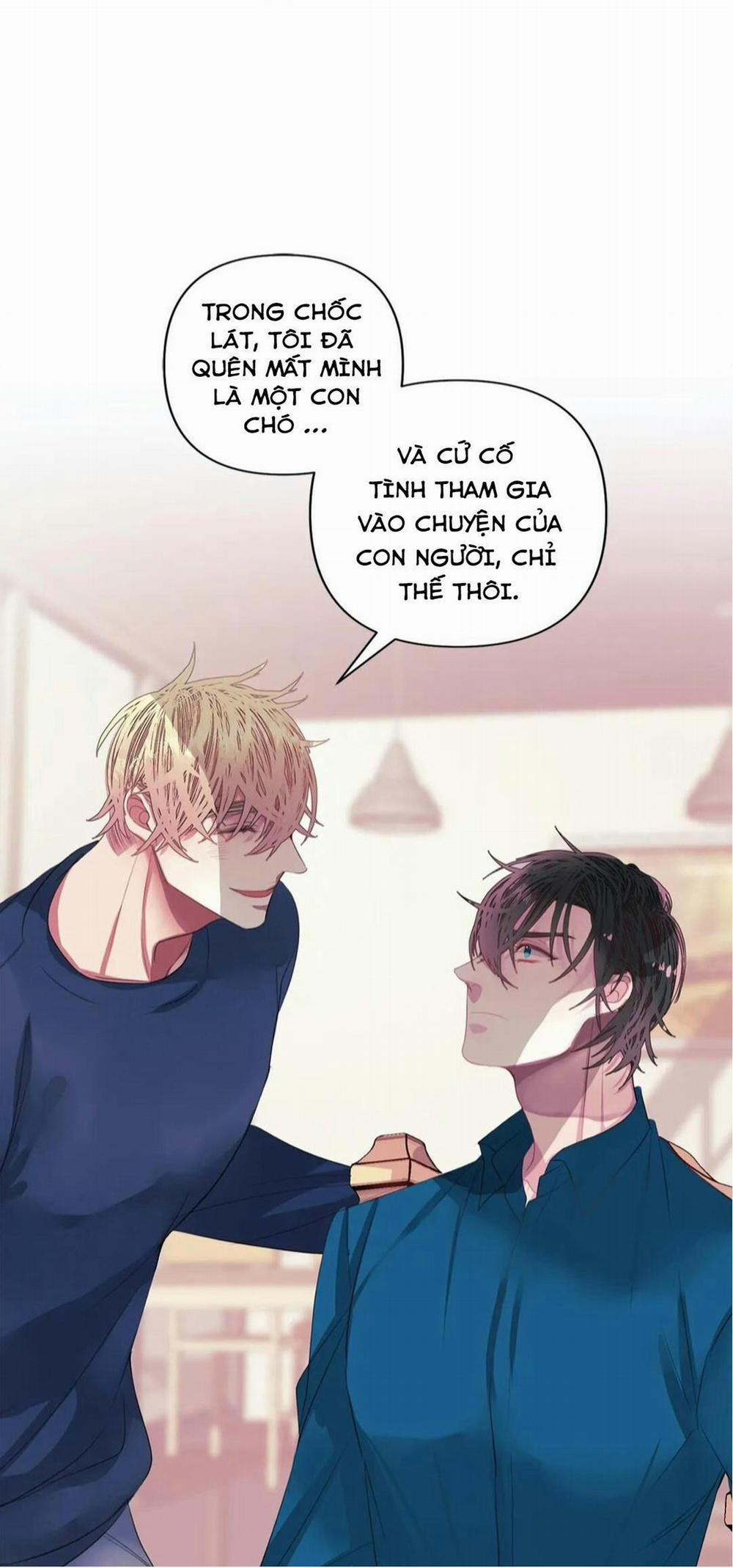 Hãy Chịu Trách Nhiệm Đi! 11 trang 47