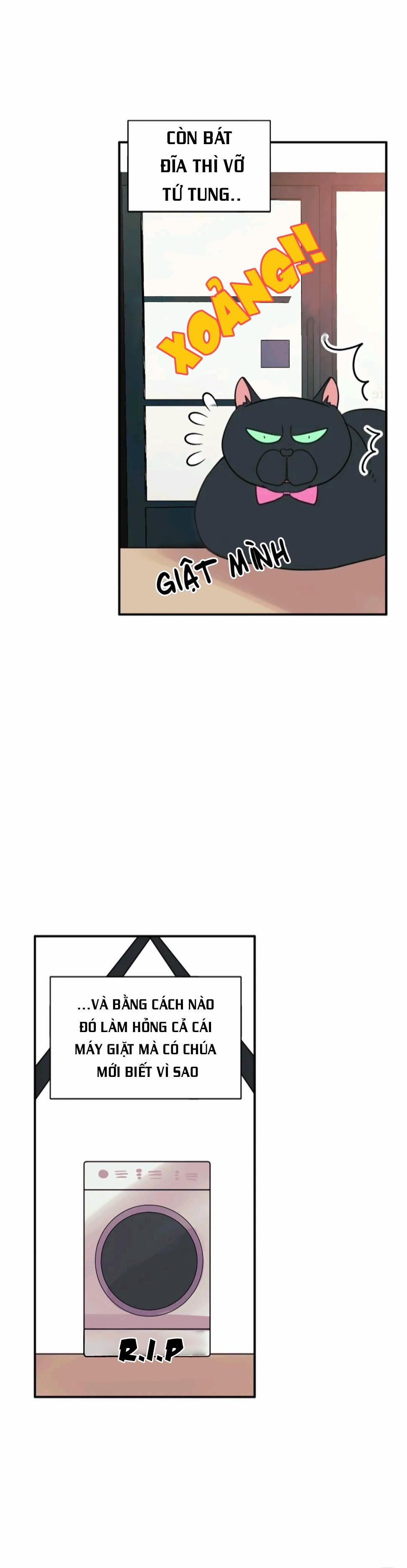 Hãy Chịu Trách Nhiệm Đi! 12 trang 26
