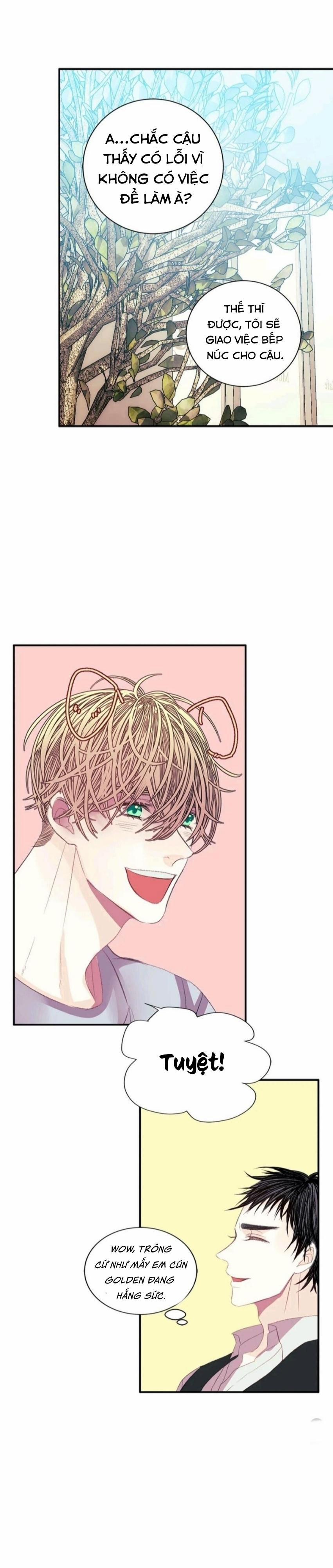 Hãy Chịu Trách Nhiệm Đi! 12 trang 5