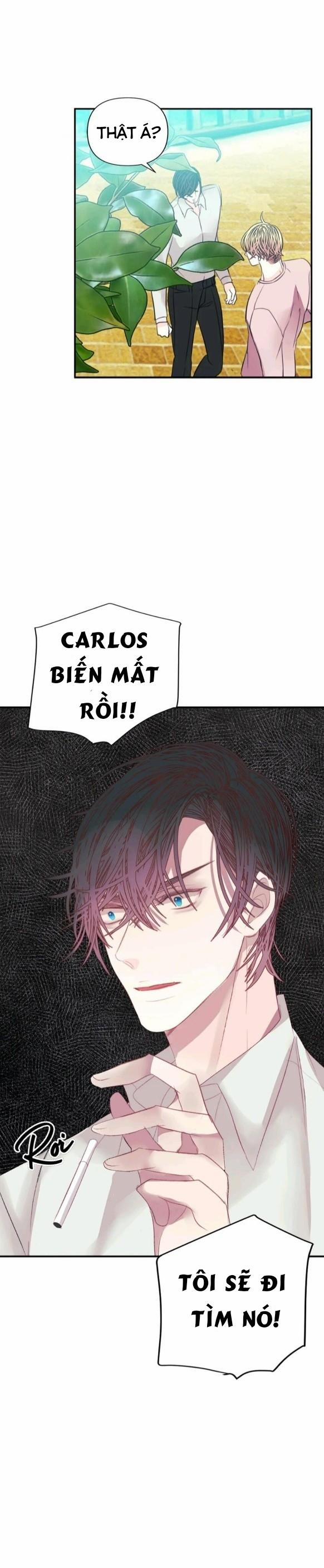 Hãy Chịu Trách Nhiệm Đi! 13 trang 10