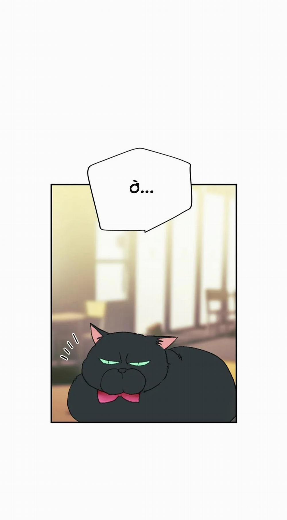 Hãy Chịu Trách Nhiệm Đi! 18 trang 36