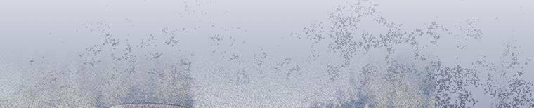 Hãy Để Tôi Được Hiểu Em 85 trang 248