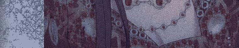 Hãy Để Tôi Được Hiểu Em 85 trang 259