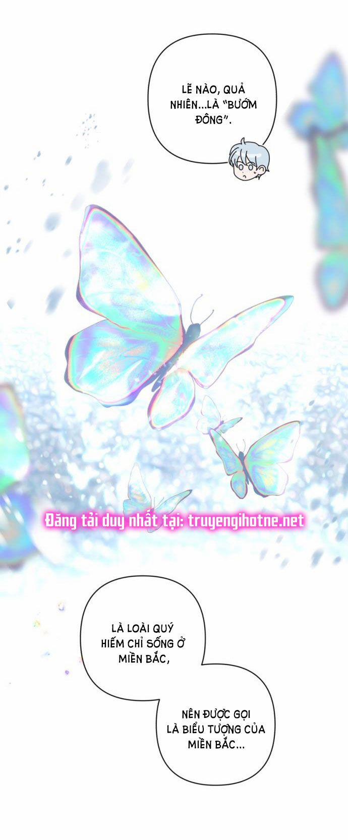 Hãy Giết Chồng Tôi Đi 22 trang 12