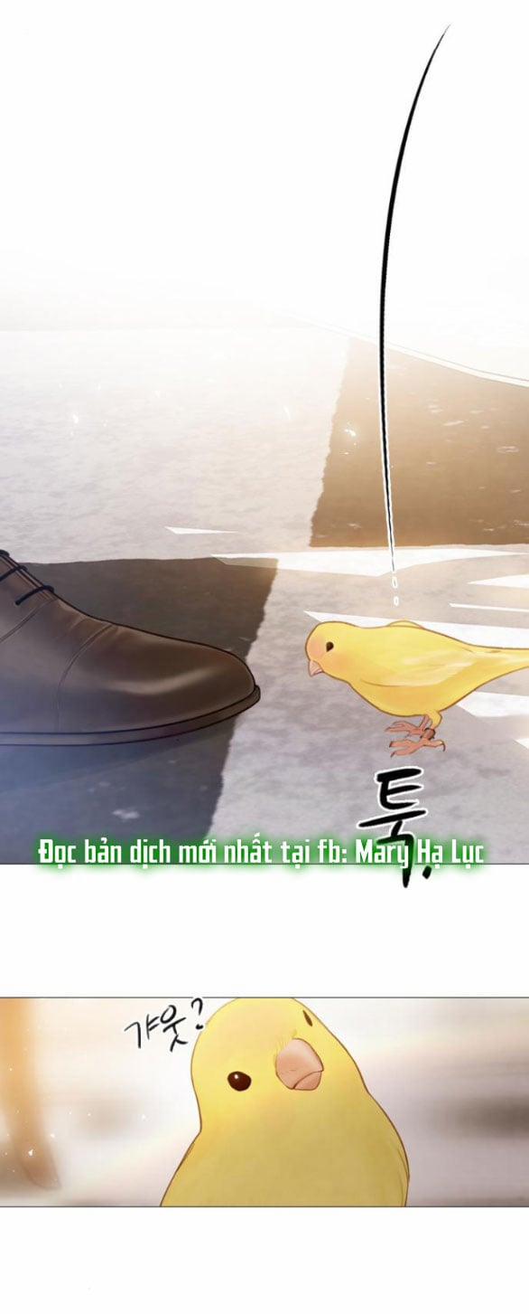 Hãy Khóc Và Cầu Nguyện Đi 11.2 trang 19