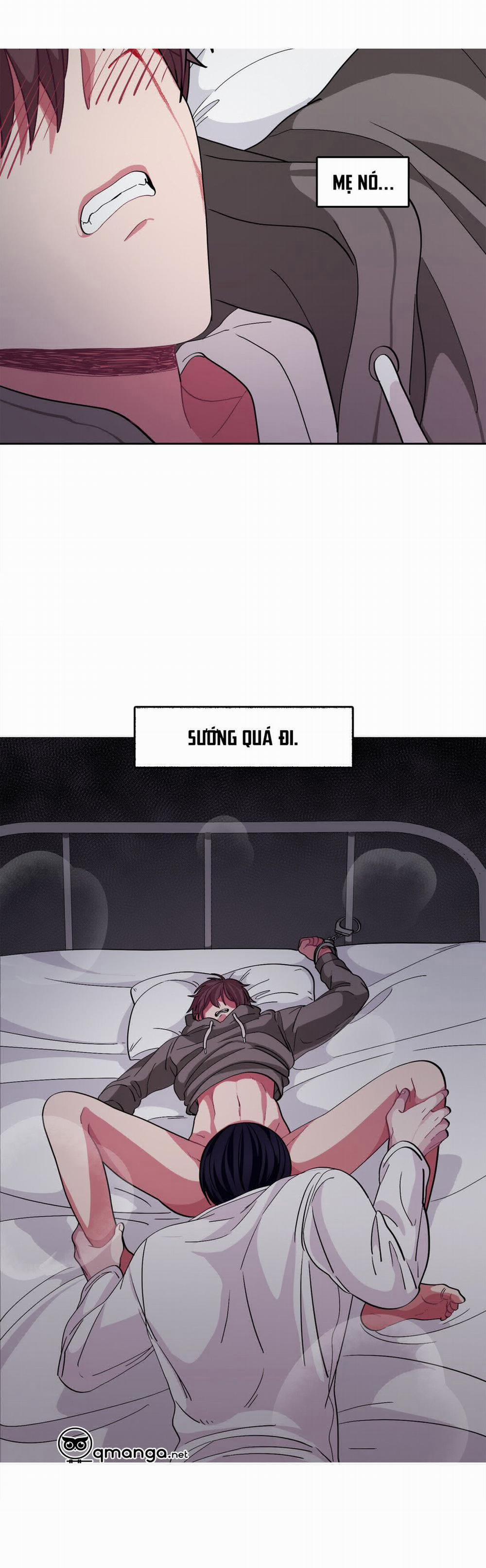 Hãy Tuân Lệnh Tôi 8 trang 23