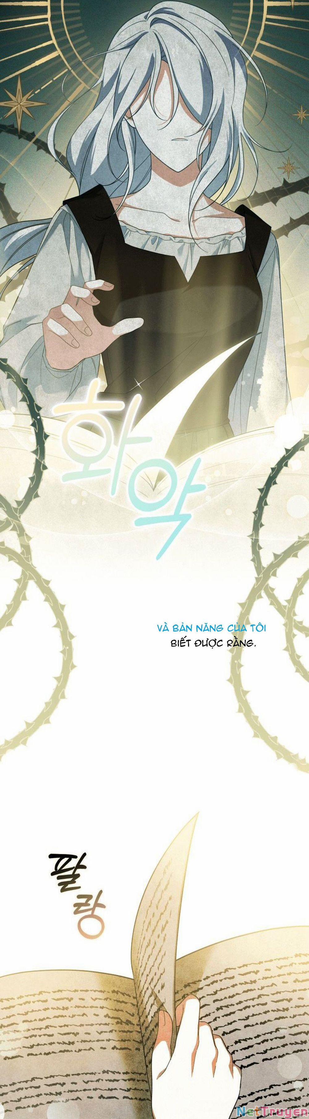 Hãy Ủng Hộ Kế Hoạch Trả Thù Của Tôi 2 trang 3