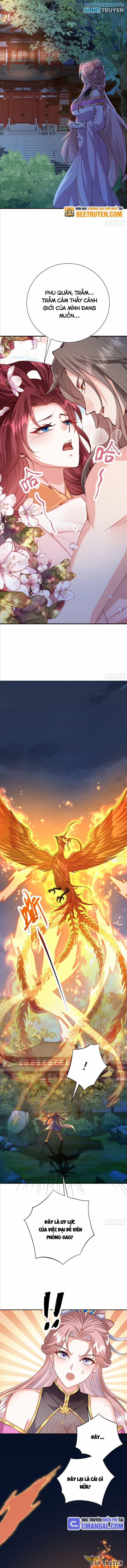 Hệ Thống Hèn Mọn Quỳ Xuống Cầu Xin Ta Vô Địch 20 trang 2