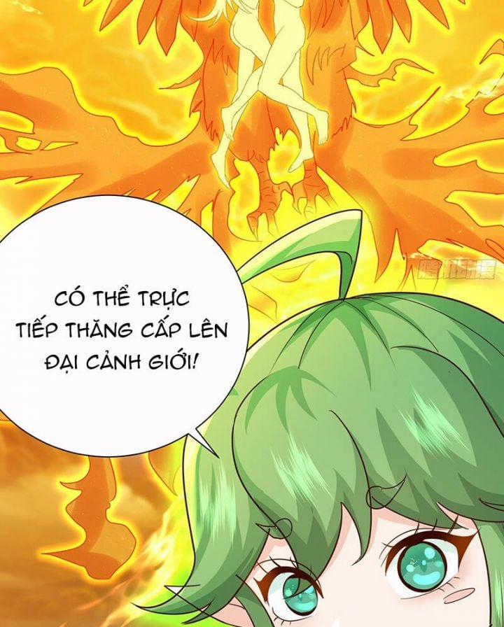 Hệ Thống Hèn Mọn Quỳ Xuống Cầu Xin Ta Vô Địch 3 trang 18