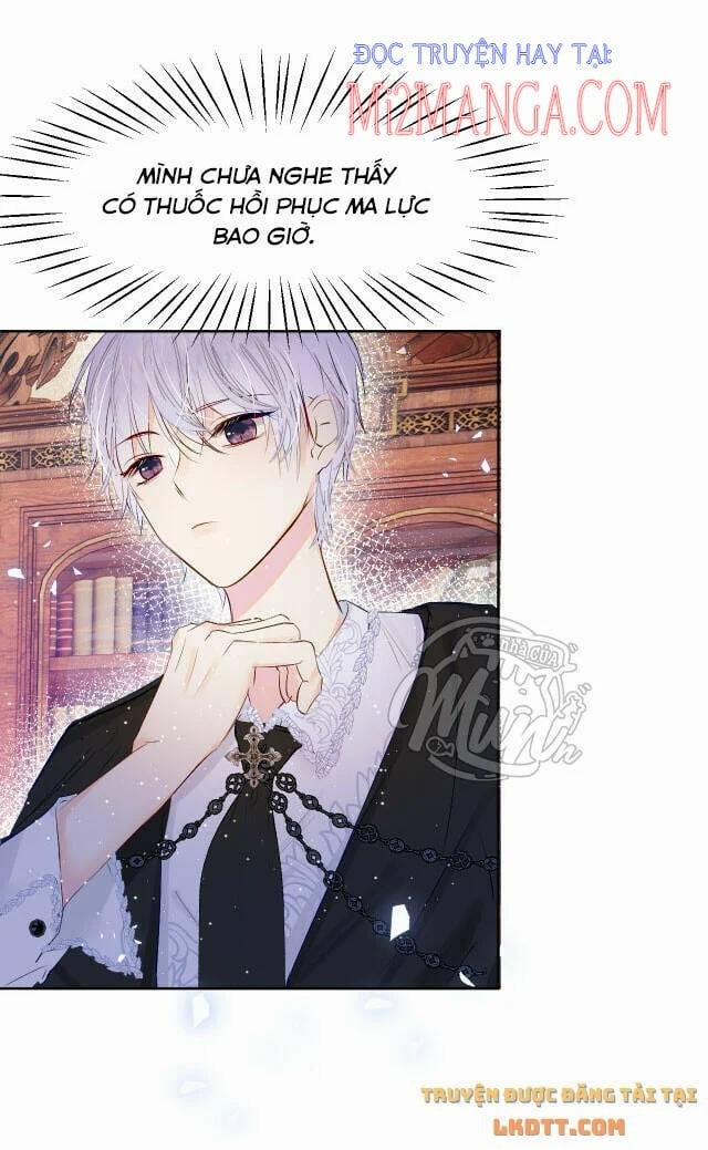 Hệ Thống Nuôi Dưỡng Nhân Vật Phản Diện Thật Vặn Vẹo 3 trang 17