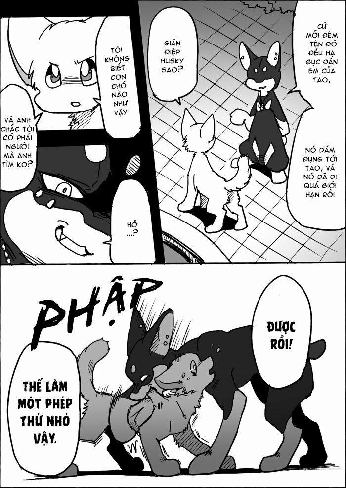 Helper Shibeta 10 trang 13