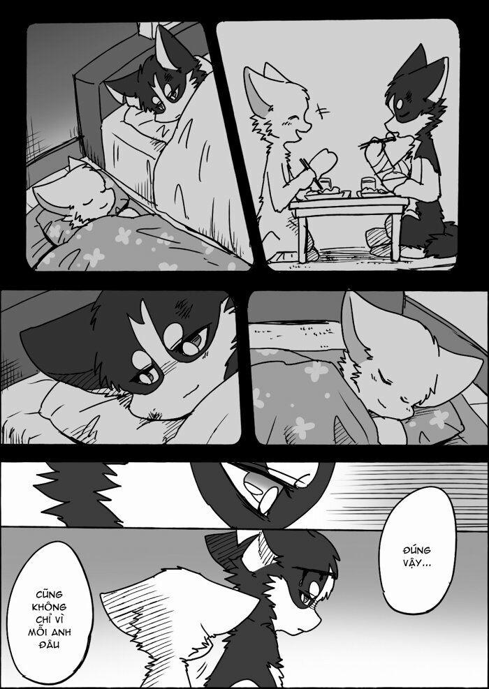 Helper Shibeta 10 trang 46