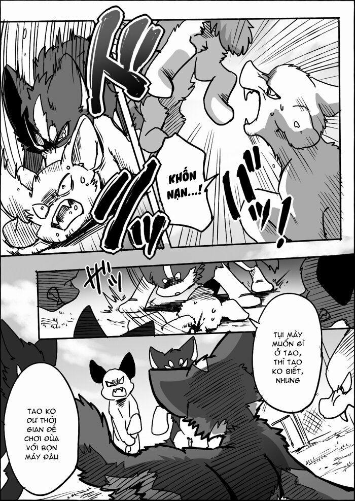 Helper Shibeta 12 trang 21