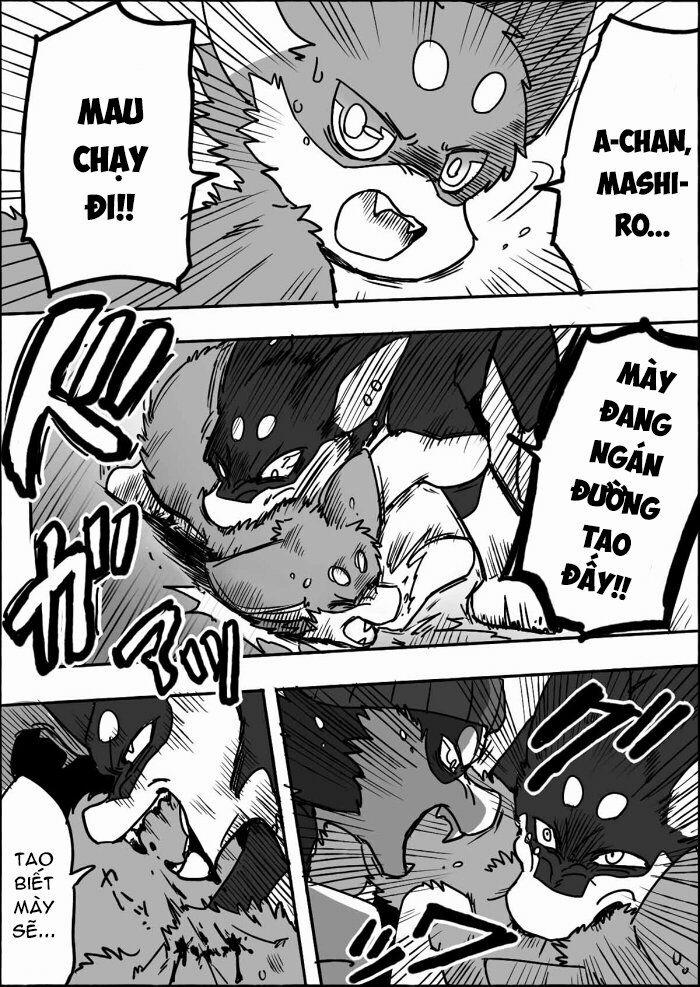 Helper Shibeta 12 trang 26