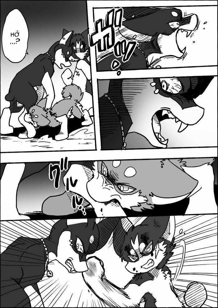 Helper Shibeta 12 trang 33