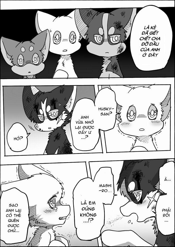 Helper Shibeta 12 trang 43