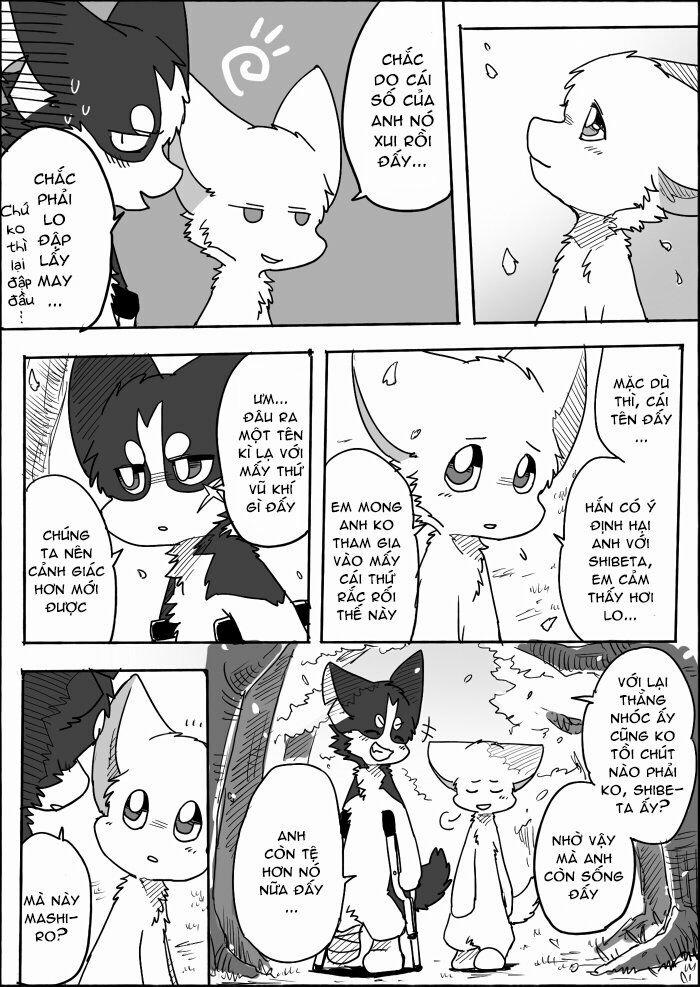 Helper Shibeta 12 trang 47