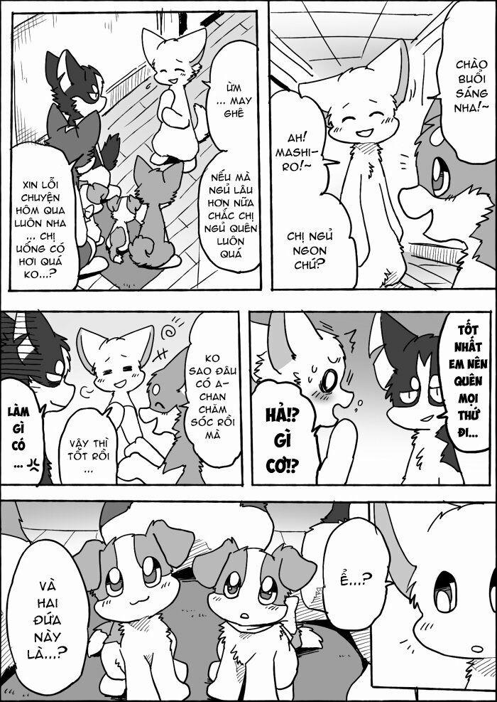 Helper Shibeta 13 trang 10