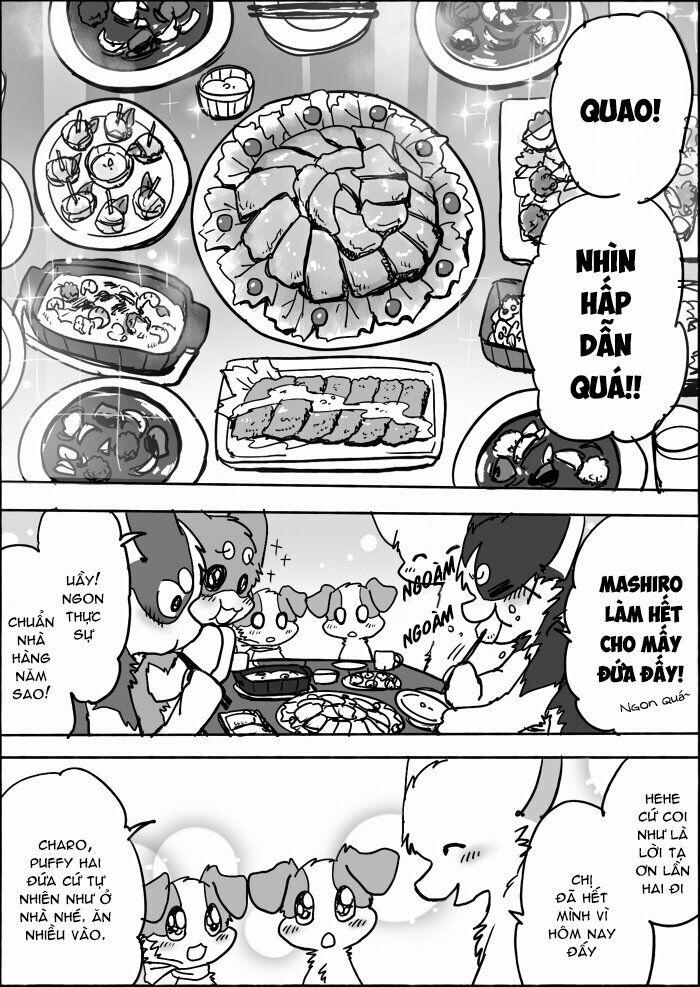 Helper Shibeta 13 trang 16