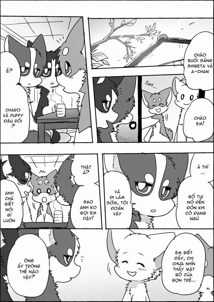 Helper Shibeta 13 trang 36