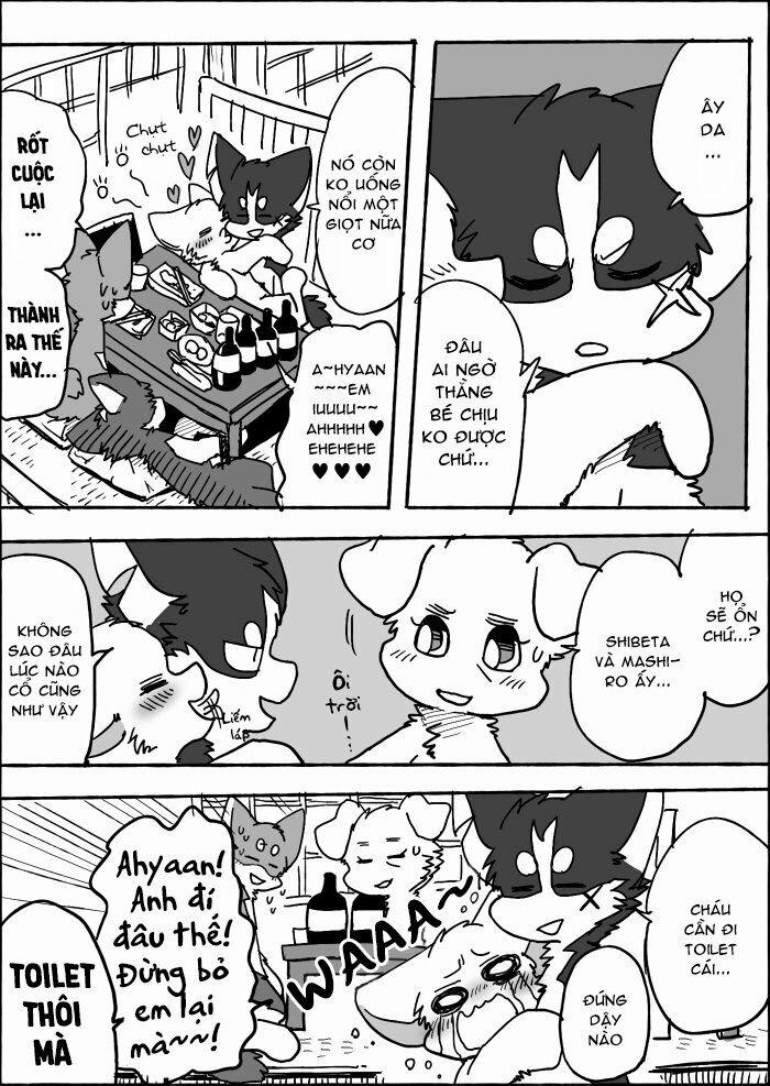 Helper Shibeta 13 trang 6