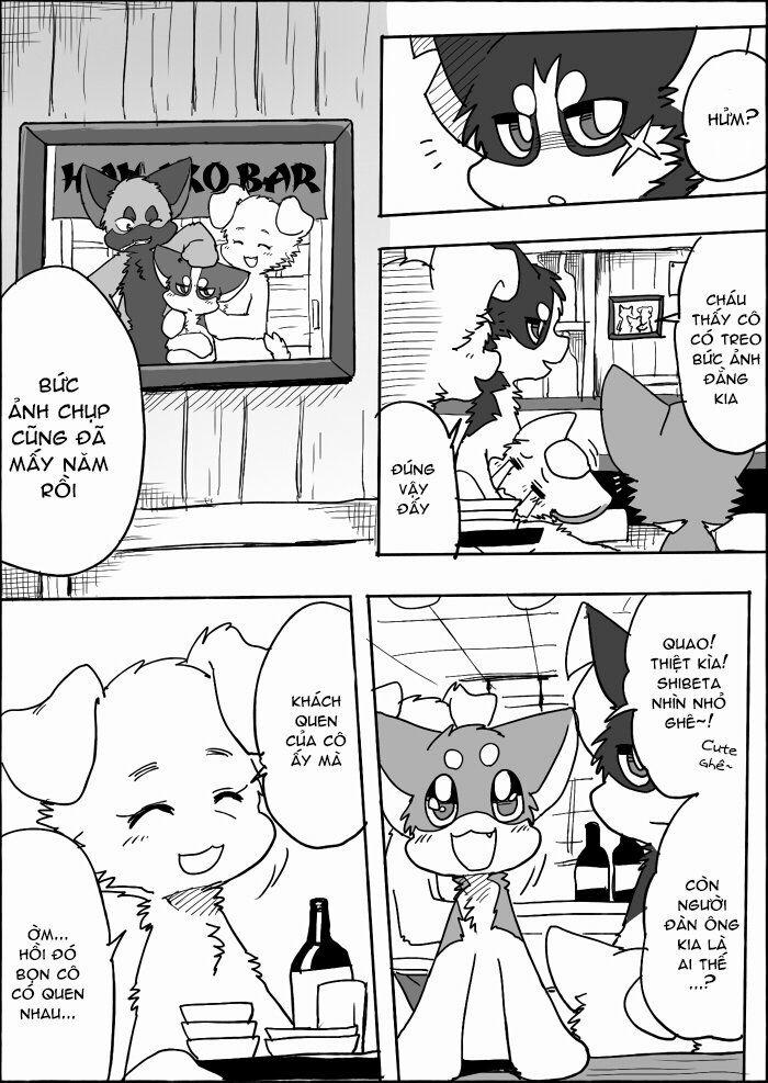 Helper Shibeta 13 trang 7