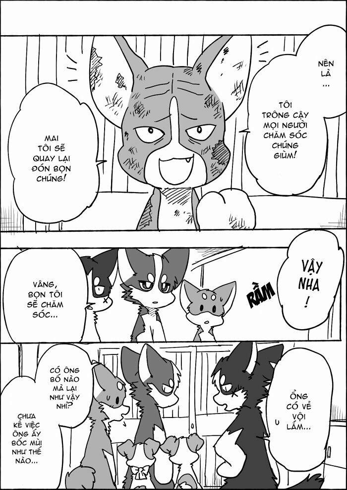 Helper Shibeta 13 trang 9