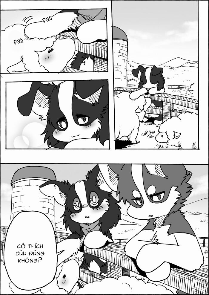 Helper Shibeta 14 trang 16