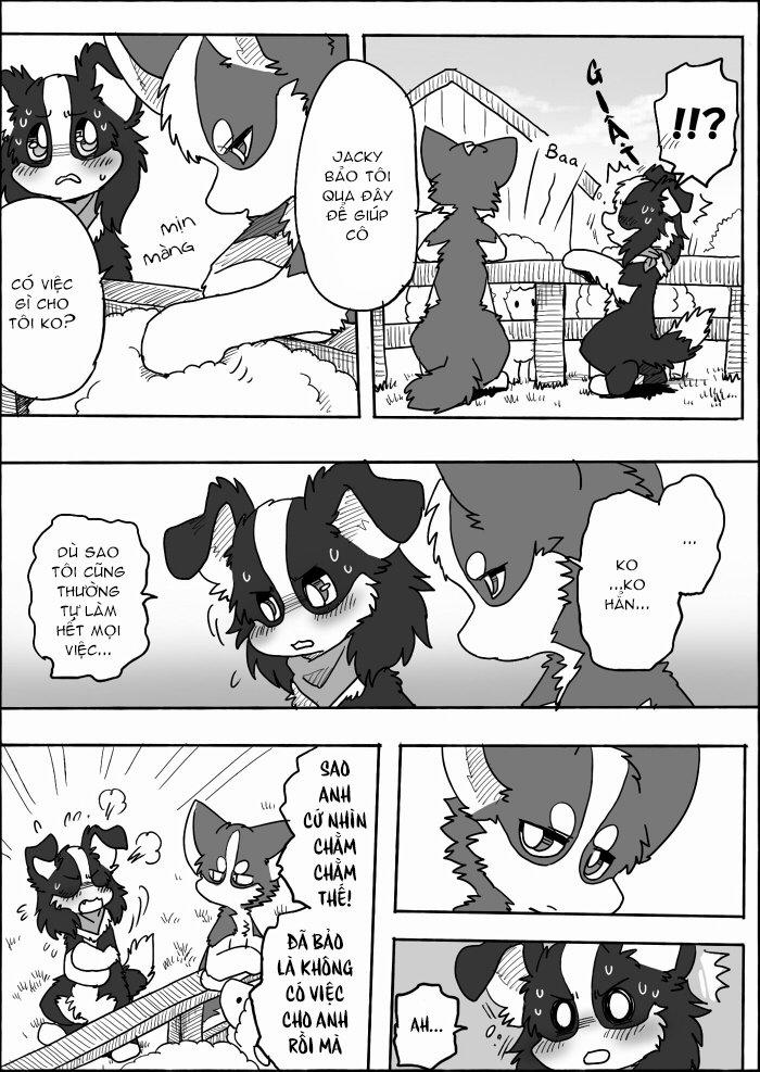 Helper Shibeta 14 trang 17