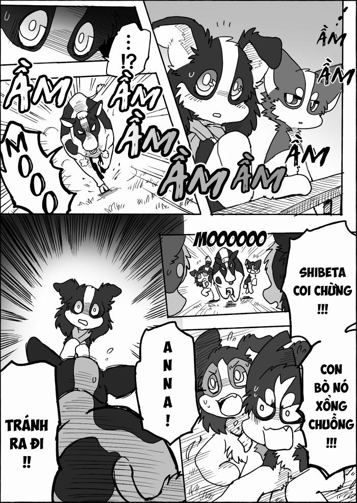 Helper Shibeta 14 trang 19