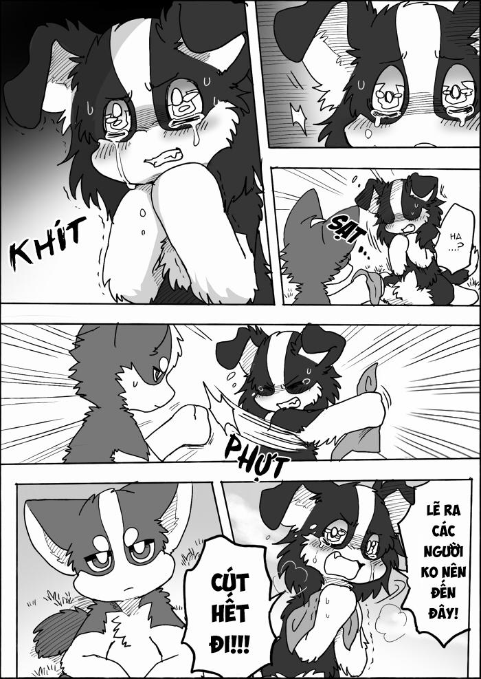 Helper Shibeta 14 trang 23