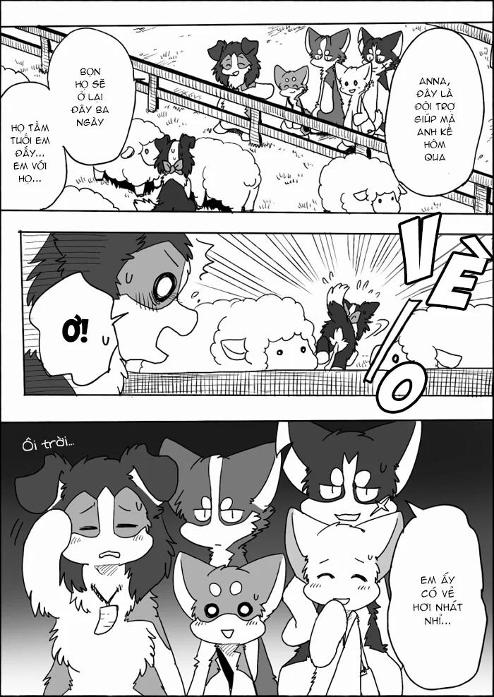 Helper Shibeta 14 trang 7